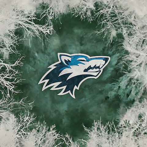 Minnesota Timberwolves Logo