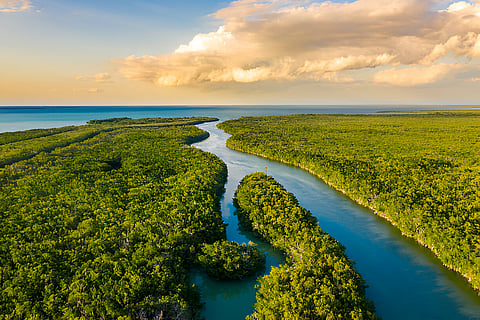 Florida Everglades