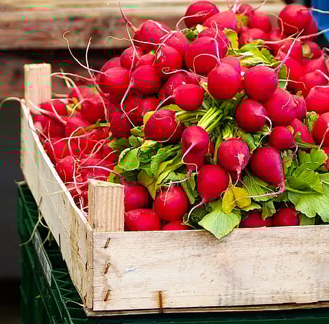 Radishes