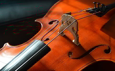 The Role of Tradition and Innovation in the World of Cellos