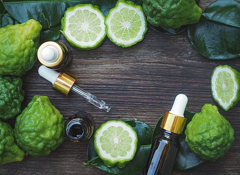 Bergamot Essential Oil Benefits