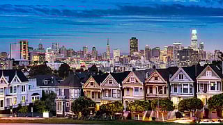 The Painted Ladies