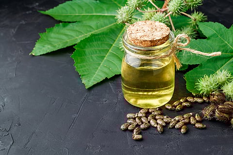 What Are the Benefits of Castor Oil in Your Belly Button?