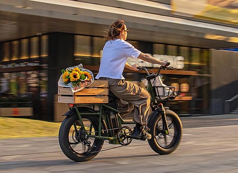 How to Choose a Fat Tire Electric Bike: A Comprehensive Guide