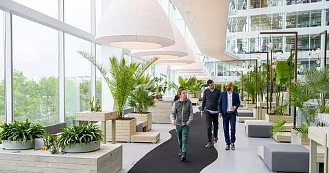 Redefining Your Interior Space With Biophilic Design for Better Health and Well-Being