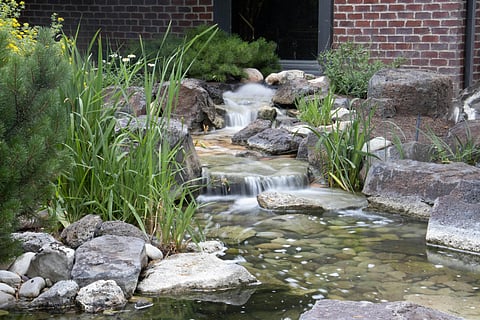 Create a Serene Oasis with Pondless Waterfall Kits: A Step-by-Step Guide