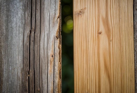 Eucalyptus Hardwood vs Oak Durability Comparison: Strength and Longevity Face-Off
