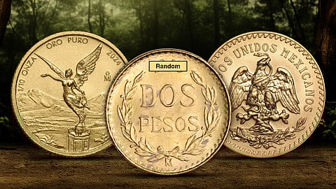 Investing in Mexican Gold Coins