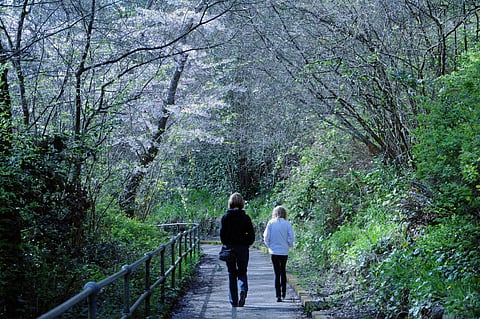 Five elderly friendly winter getaways in Yorkshire