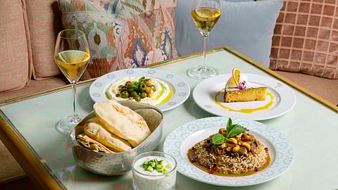 Amal Olive Harvest Festival