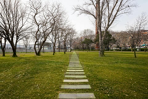 How Market Trends Affect the Land-Selling Industry