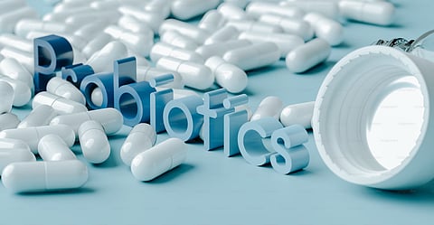 What Are Lactobacillus Probiotics?