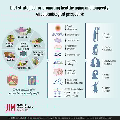 5 Essential Features Not to Miss in Longevity Supplements