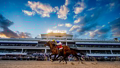 Pegasus World Cup Race