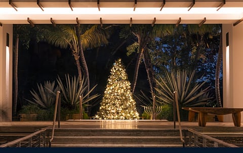 Ritz-Carlton at Christmas