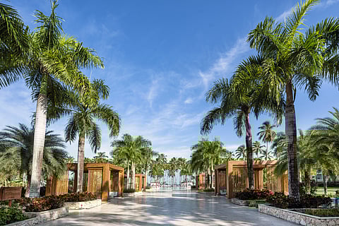 Viva V Samaná by Wyndham Exterior