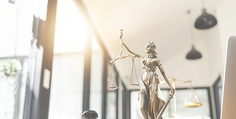 Navigating U.S. Immigration Laws through Professional Legal Representation