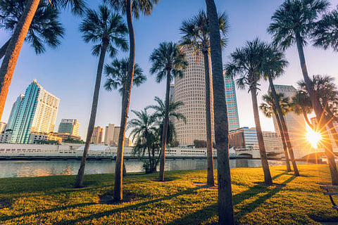 Things To Know Before Moving To Tampa, FL