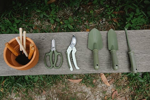 Outdoor Woes- 3 Things To Assess Your Garden For Before Landscaping