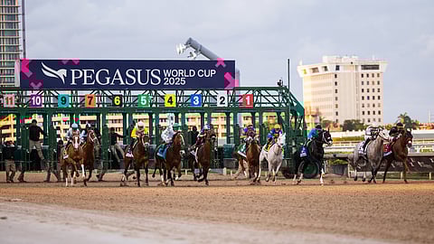 2025 Pegasus World Cup