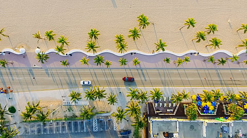 What to Watch for When You Visit Florida