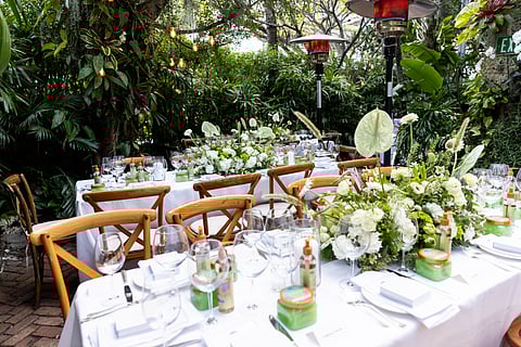 Tree Hut's Launch of Electric Beach at Casa Tua