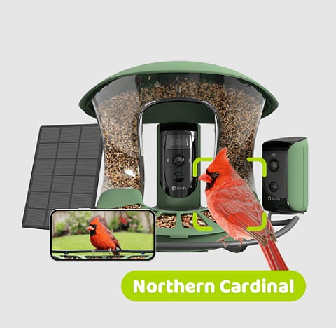 Enhance Your Birdwatching Experience With Birdfy Feeder Duo 2: The Ultimate Smart Bird Feeder With Camera