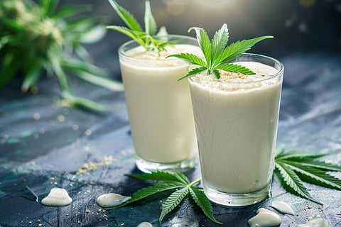 Understanding Marijuana Shake: Uses, Benefits, and How to Make the Most of It