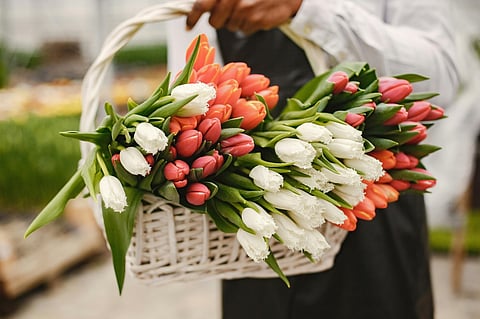 Send Love Across Borders with Our Global Flower Delivery Service