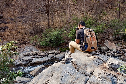 6 Destinations Around the World for High-End Wildlife Adventures