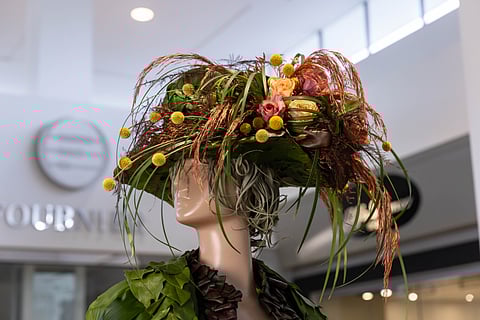 Les Merveilles d’Anabelle - La Vieille Demoiselle