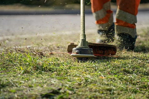 The Pros and Cons of Different Types of Brush Cutter Heads