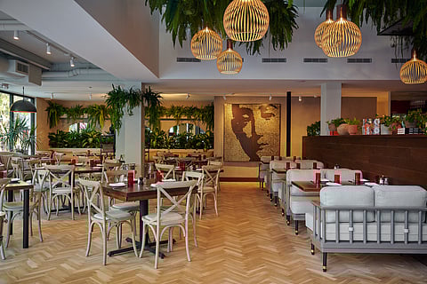 Michael’s Genuine Interior