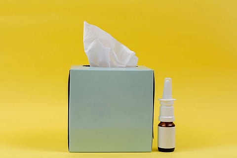 10 Common Allergies That Could Be Hiding in Your Home (And How to Prevent Them)