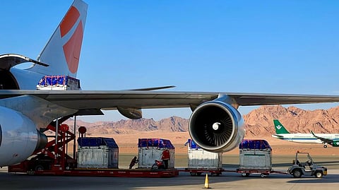 Magma and Intradco Team Up to Transport 34 Endurance Horses