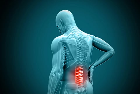 A Comprehensive Guide to Managing Joint and Spine Health