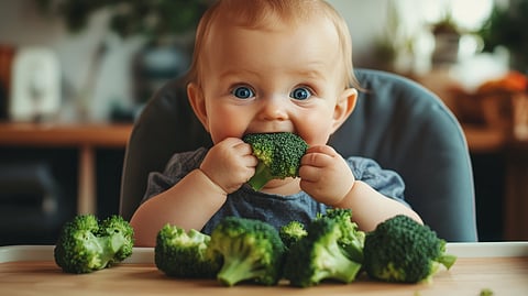 Baby eating Broccoli