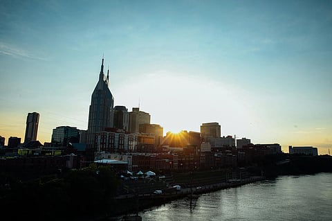 How Nashville’s Spring Weather Affects Pest Activity