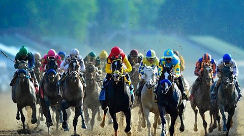 Excitement at the Run for the Roses