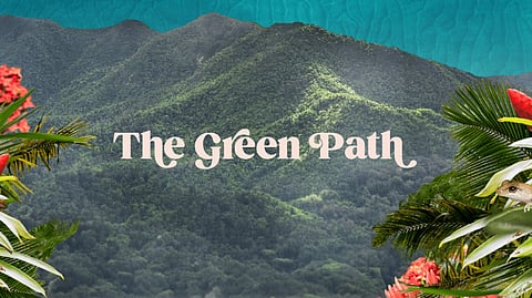 The Green Path Sets a New Standard for Sustainable Travel in Puerto Rico