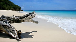 What to Know Before Vacationing in Ffryes Beach, Antigua