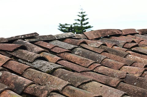 10 Signs Your Roof Needs Immediate Attention Before It's Too Late