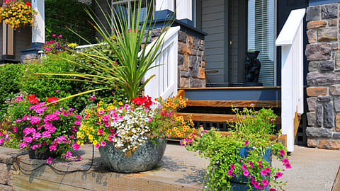 What Are The Primary Differences Between Indoor vs. Outdoor Planters And Why Does it Matter?