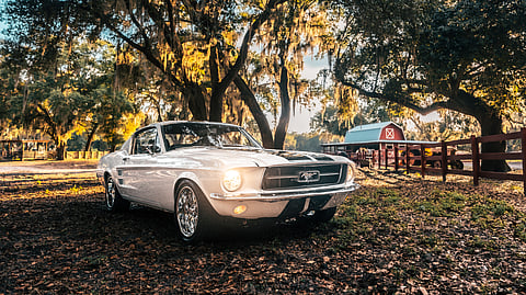 The ‘67 Ghost Strikes a Bold Profile Beneath Moss-Draped Oaks