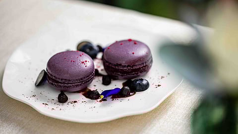 Purple Macarons with Blueberries and Skin-Supportive Compounds
