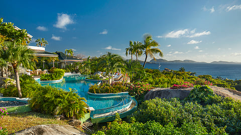 View of Pool and Nature Around the Valley Trunk Estate