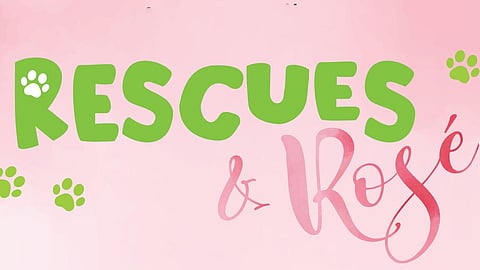 Rescues & Rosé hosted by the Animal Rescue Fund of the Hamptons (ARF)