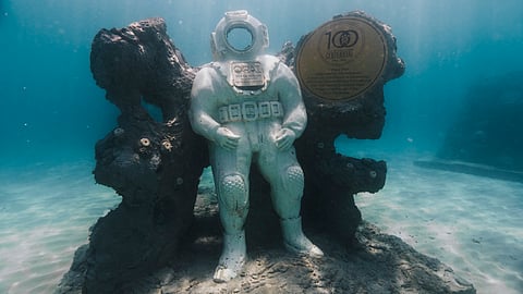 Hollywood Centennial Celebration Reef