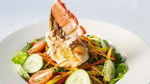 Lobster Salad