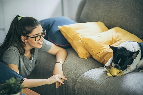 Pets Still Living in the House, How to Prep (Without Deep Cleaning)